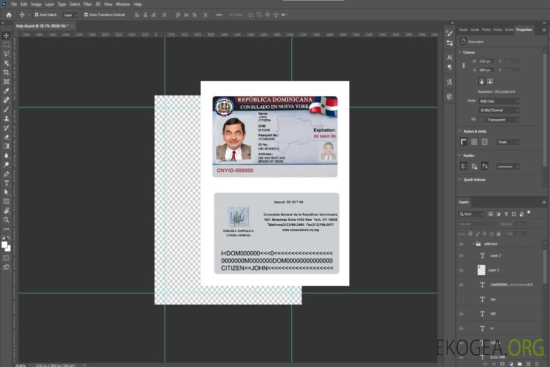 République dominicaine consulée à New York template